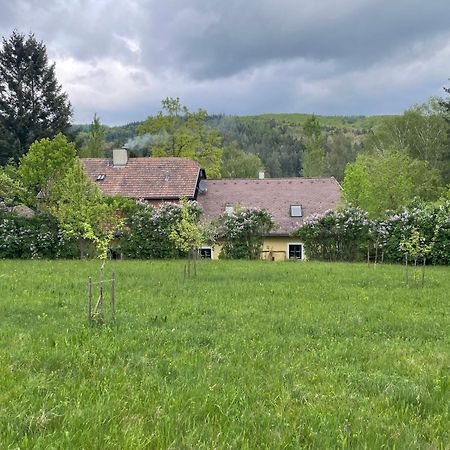 Bed&Breakfast Im Gruenen Nah An Wien Brettwies المظهر الخارجي الصورة