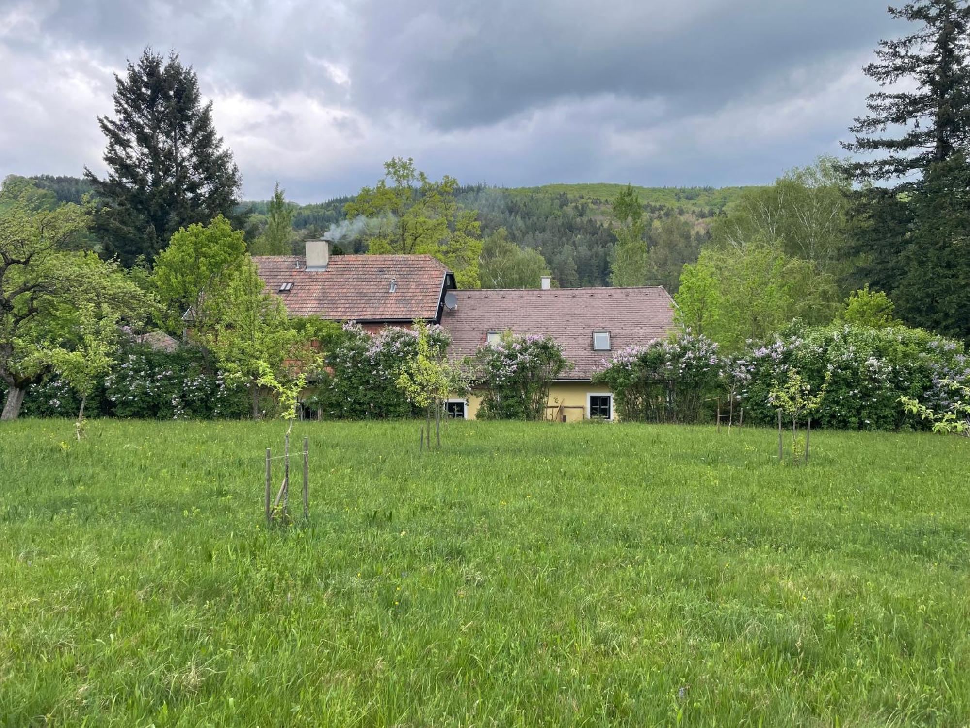 Bed&Breakfast Im Gruenen Nah An Wien Brettwies المظهر الخارجي الصورة